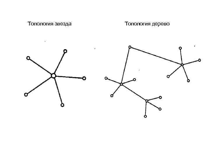 Топология звезда Топология дерево 