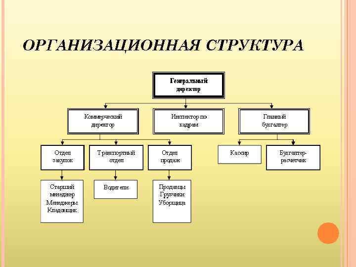 ОРГАНИЗАЦИОННАЯ СТРУКТУРА 