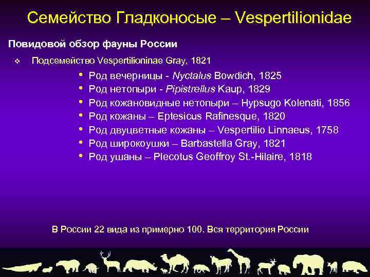 Семейство Гладконосые – Vespertilionidae Повидовой обзор фауны России v Подсемейство Vespertilioninae Gray, 1821 •