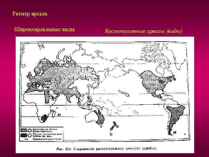 Размер ареала Широкоареальные виды Космополитные ареалы (виды) 