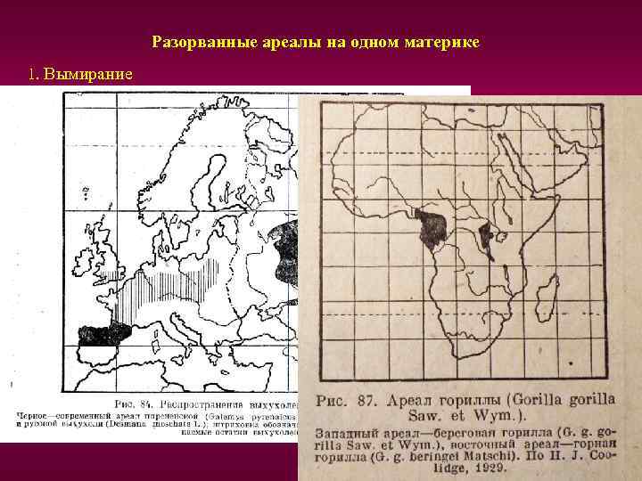 Типы ареалов схема