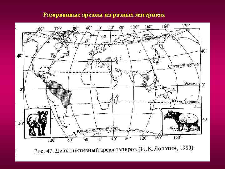 Ареалы на карте применяются для изображения