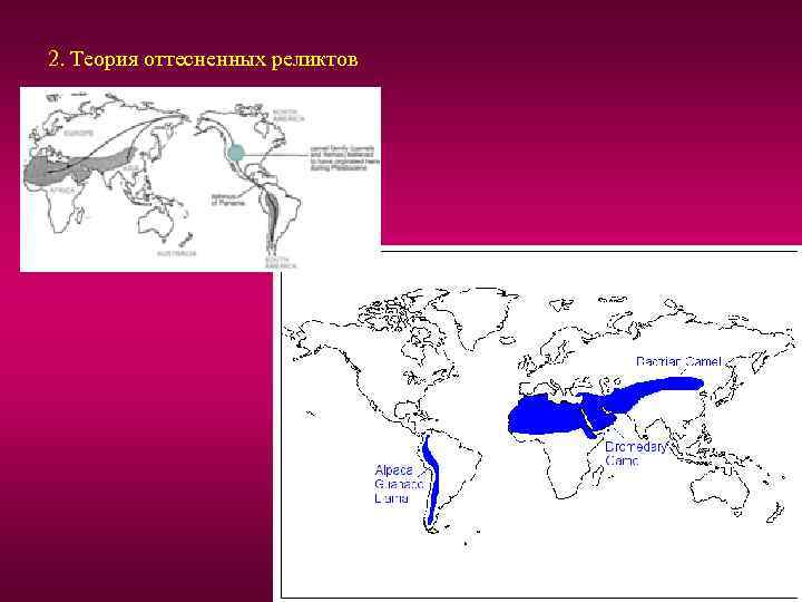 2. Теория оттесненных реликтов 