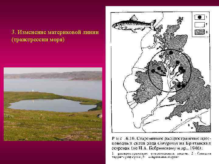 3. Изменение материковой линии (трансгрессии моря) 