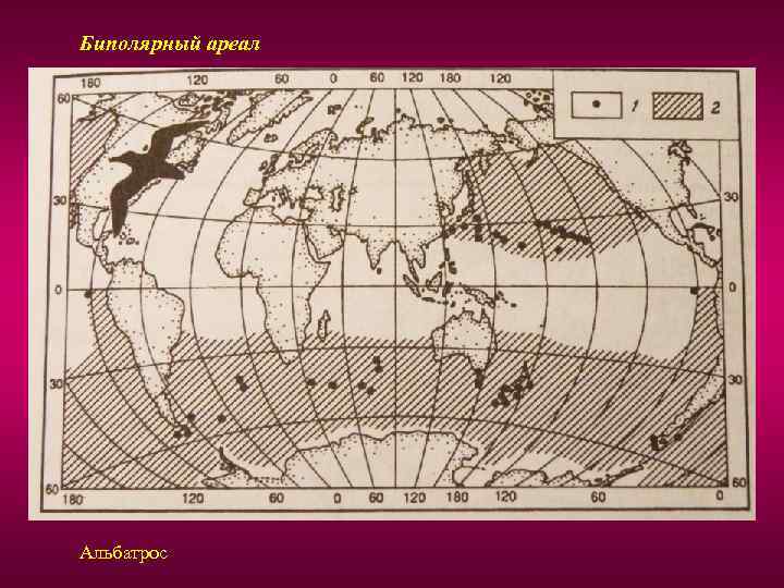 Ареал работа