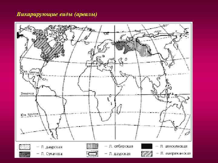 Викарирующие виды (ареалы) 