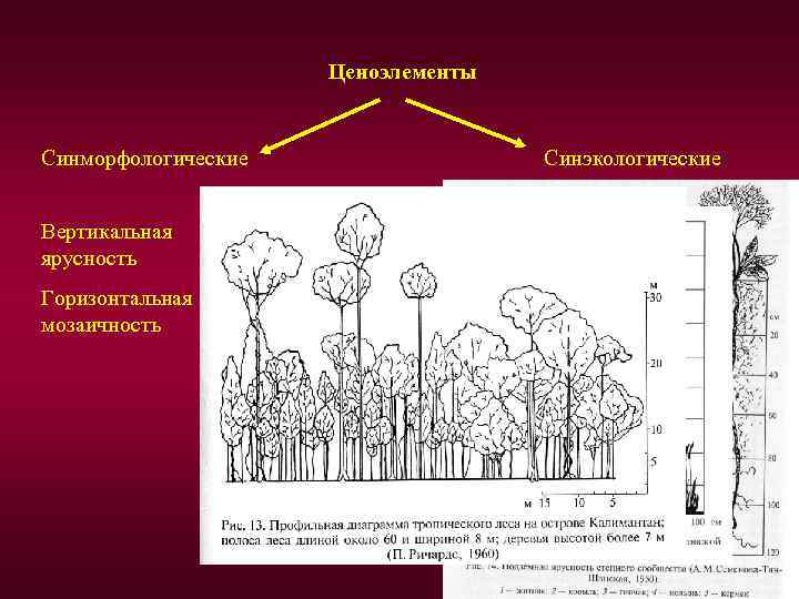 Ярусность надземная и подземная схема