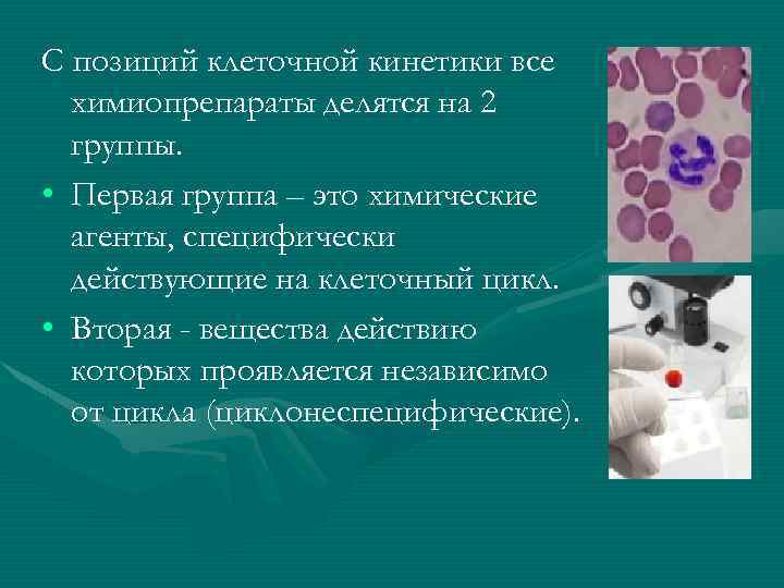 С позиций клеточной кинетики все химиопрепараты делятся на 2 группы. • Первая группа –