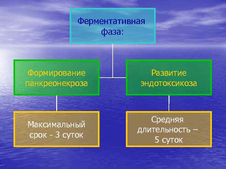 Ферментативная фаза: Формирование панкреонекроза Развитие эндотоксикоза Максимальный срок - 3 суток Средняя длительность –