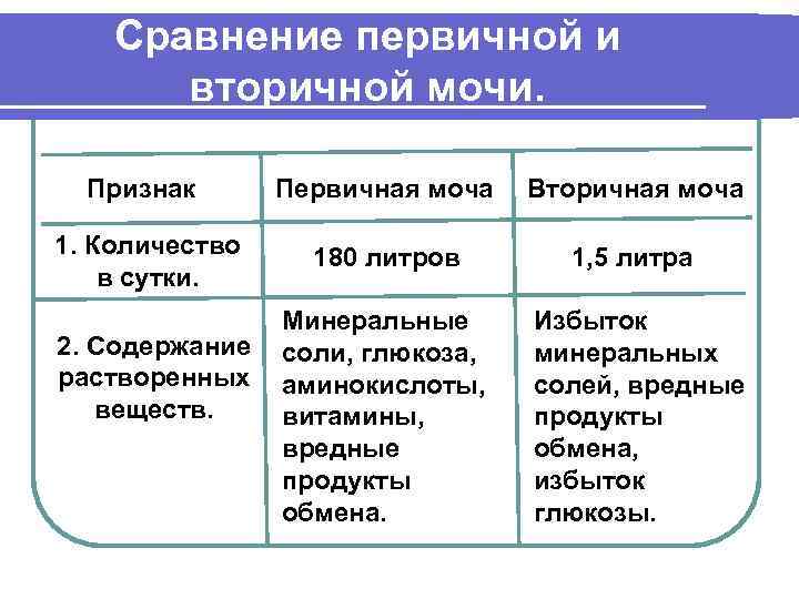 Сравнение первичной и вторичной мочи. Признак Первичная моча Вторичная моча 1. Количество в сутки.