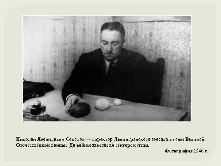 Николай Леонидович Соколов — директор Ленинградского зоосада в годы Великой Отечественной войны. До войны