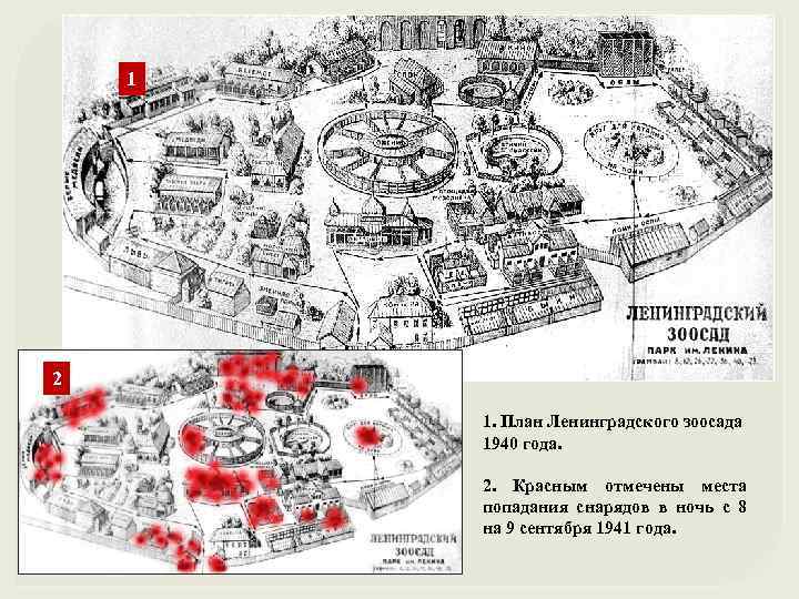 1 2 1. План Ленинградского зоосада 1940 года. 2. Красным отмечены места попадания снарядов
