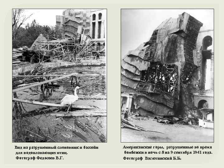 Вид на разрушенный слоновник и бассейн для водоплавающих птиц. Фотограф Федосеев В. Г. Американские