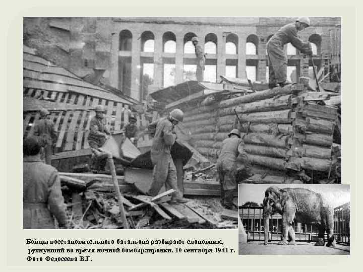 Бойцы восстановительного батальона разбирают слоновник, рухнувший во время ночной бомбардировки. 10 сентября 1941 г.