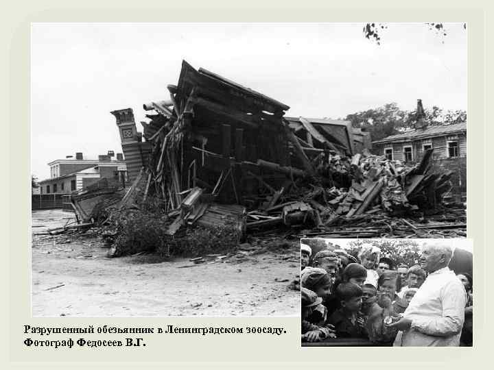 Разрушенный обезьянник в Ленинградском зоосаду. Фотограф Федосеев В. Г. 