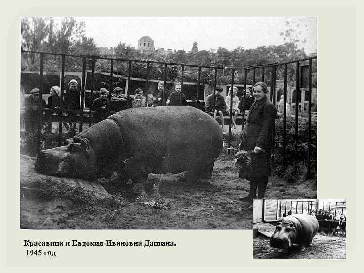 Красавица и Евдокия Ивановна Дашина. 1945 год 