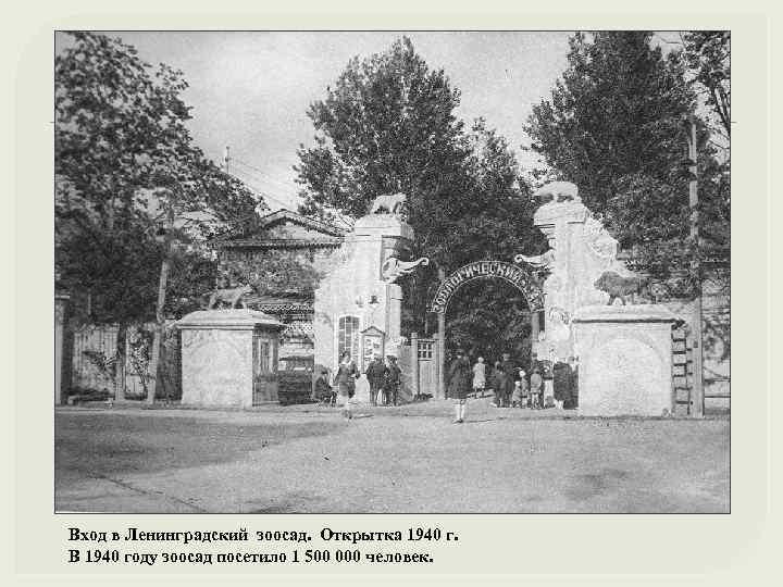 Вход в Ленинградский зоосад. Открытка 1940 г. В 1940 году зоосад посетило 1 500