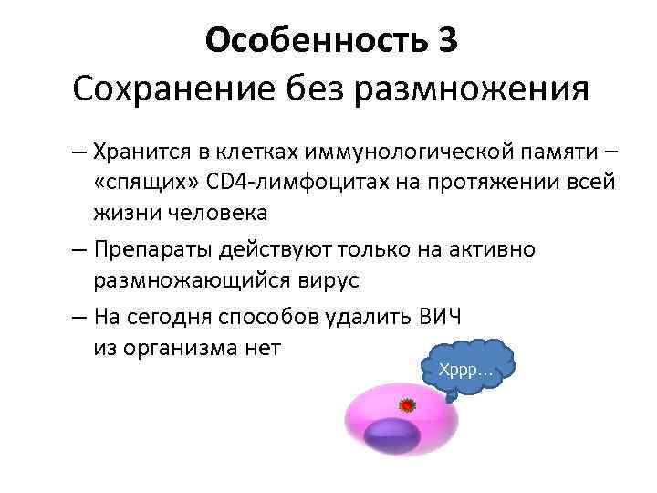Особенность 3 Сохранение без размножения – Хранится в клетках иммунологической памяти – «спящих» CD