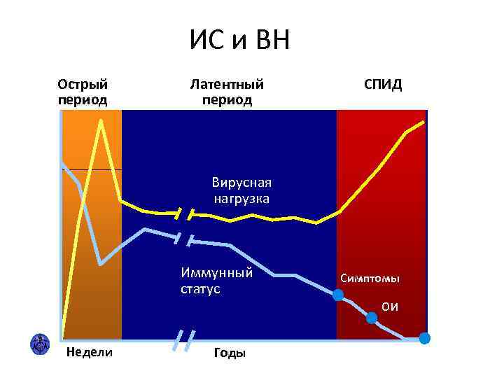 ИС и ВН Острый период Латентный период СПИД Вирусная нагрузка Иммунный статус Симптомы ОИ
