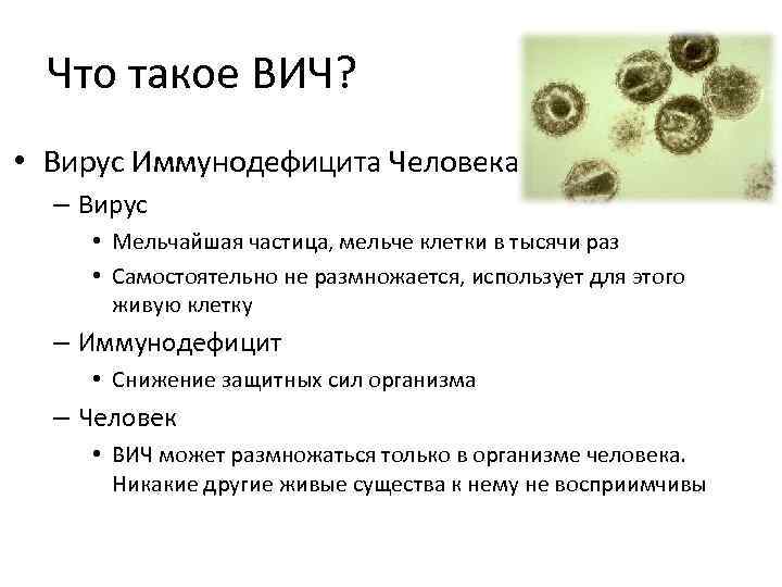 Что такое ВИЧ? • Вирус Иммунодефицита Человека – Вирус • Мельчайшая частица, мельче клетки