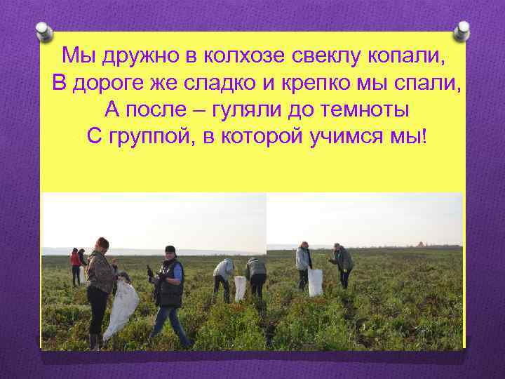 Мы дружно в колхозе свеклу копали, В дороге же сладко и крепко мы спали,