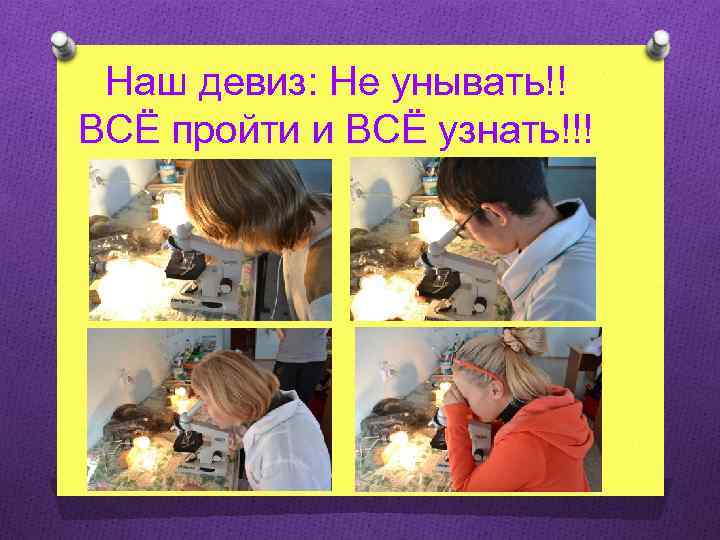 Наш девиз: Не унывать!! ВСЁ пройти и ВСЁ узнать!!! 