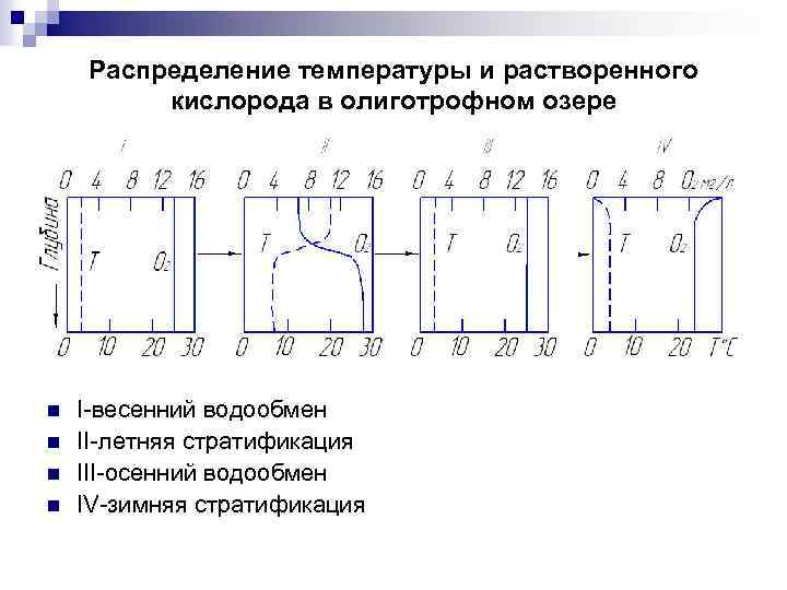 Распределение температуры и растворенного кислорода в олиготрофном озере n n I-весенний водообмен II-летняя стратификация