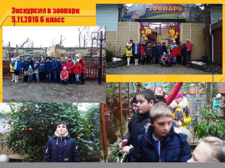 Экскурсия в зоопарк 5. 11. 2016 6 класс 