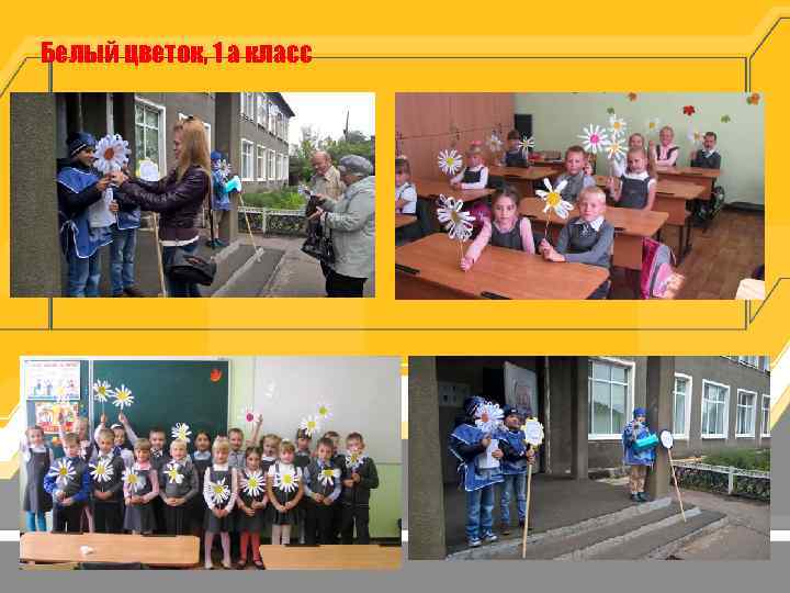Белый цветок, 1 а класс 
