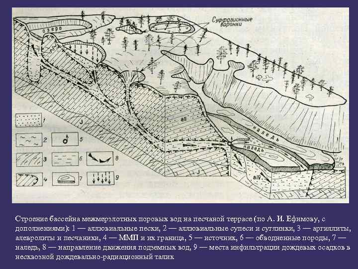 Строение бассейна межмерзлотных поровых вод на песчаной террасе (по А. И. Ефимову, с дополнениями):