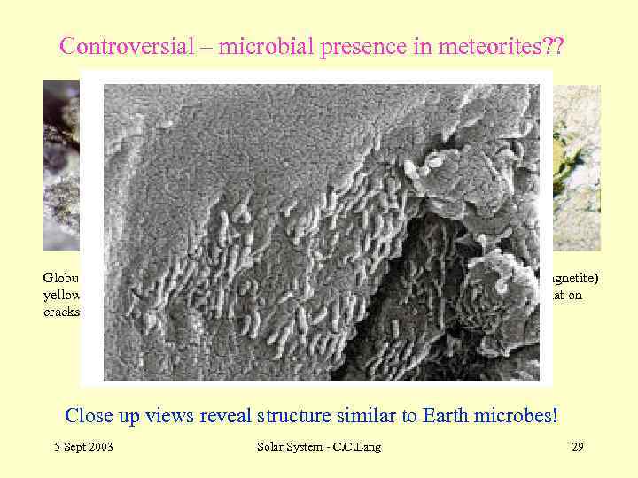 Controversial – microbial presence in meteorites? ? Globules of carbonate minerals (the yellow-orange grains)