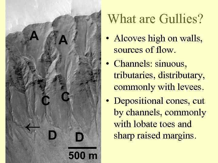 What are Gullies? • Alcoves high on walls, sources of flow. • Channels: sinuous,