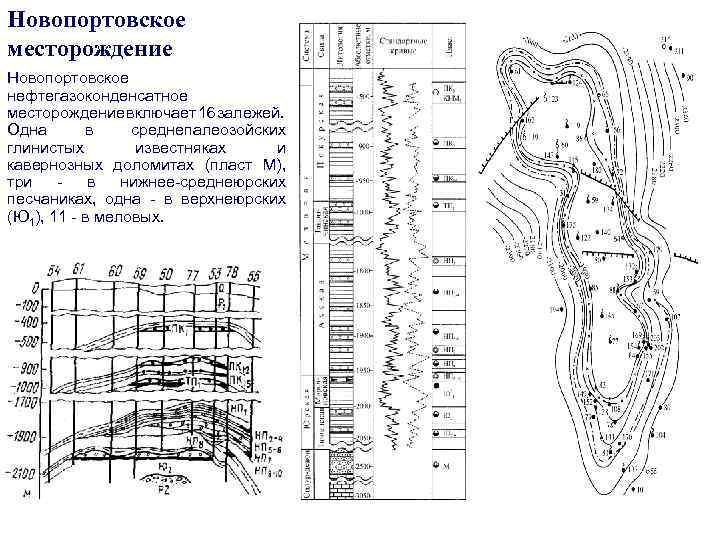 Федоровское месторождение геологическая карта