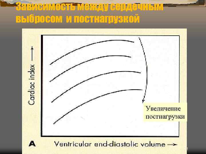 Зависимость между сердечным выбросом и постнагрузкой Увеличение постнагрузки 21 