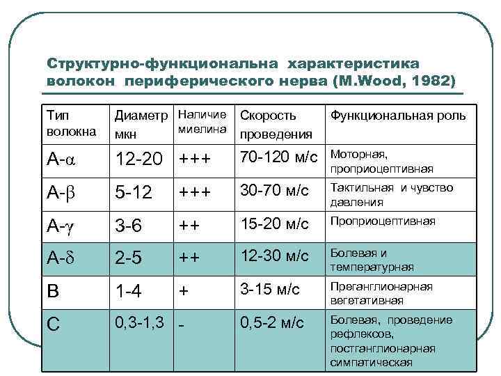 Структурно-функциональна характеристика волокон периферического нерва (M. Wood, 1982) Тип волокна Диаметр Наличие миелина мкн
