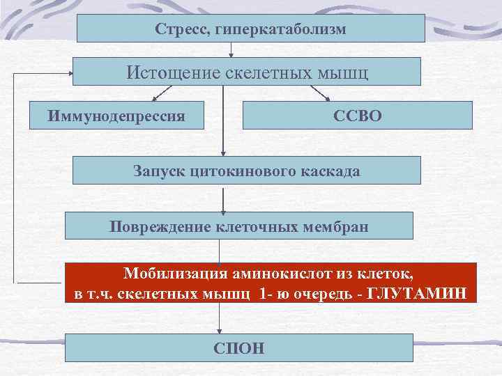 Стресс, гиперкатаболизм Истощение скелетных мышц Иммунодепрессия ССВО Запуск цитокинового каскада Повреждение клеточных мембран Мобилизация