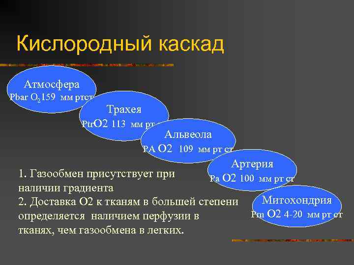 Кислородный каскад Атмосфера Рbar О 2159 мм ртст Трахея Рtr. О 2 113 мм