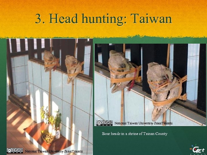 3. Head hunting: Taiwan National Taiwan University Sakai. Takashi Boar heads in a shrine