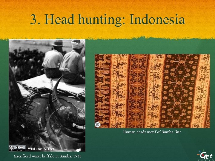 3. Head hunting: Indonesia Human heads motif of Sumba ikat Wiki user: KITbot Sacrificed
