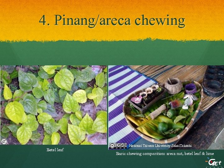 4. Pinang/areca chewing Betel leaf National Taiwan University Sakai. Takashi Basic chewing composition: areca