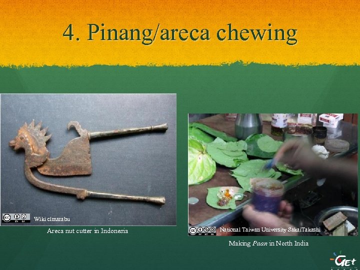 4. Pinang/areca chewing Wiki clmarabu Areca nut cutter in Indonesia National Taiwan University Sakai.