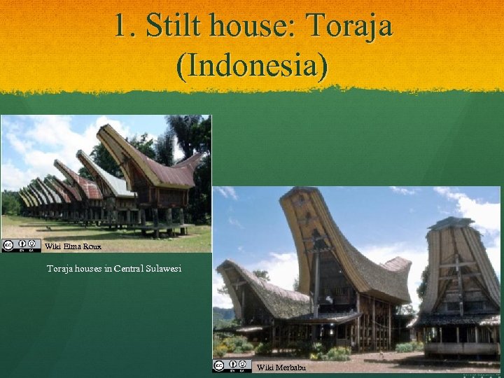1. Stilt house: Toraja (Indonesia) Wiki Elma Roux Toraja houses in Central Sulawesi Wiki