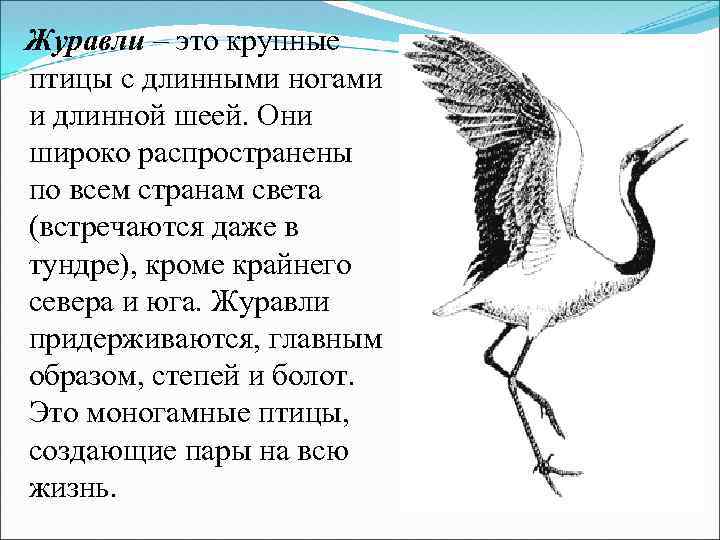 Залились жаворонки в небе и пролетели с веселым гоготаньем журавли и гуси схема