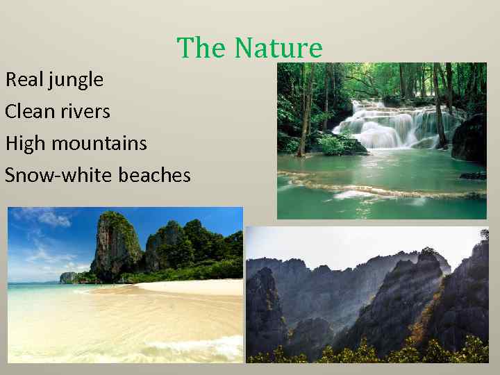 The Nature Real jungle Сlean rivers High mountains Snow-white beaches 