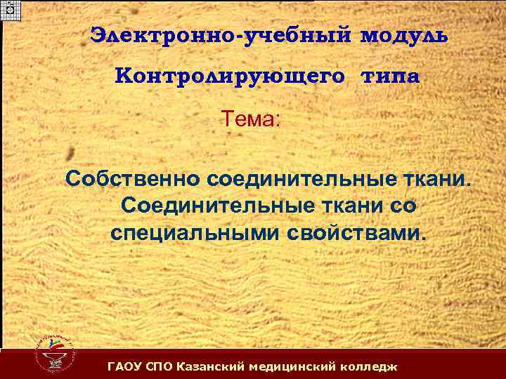 Электронно-учебный модуль Контролирующего типа Тема: Собственно соединительные ткани. Соединительные ткани со специальными свойствами. ГАОУ