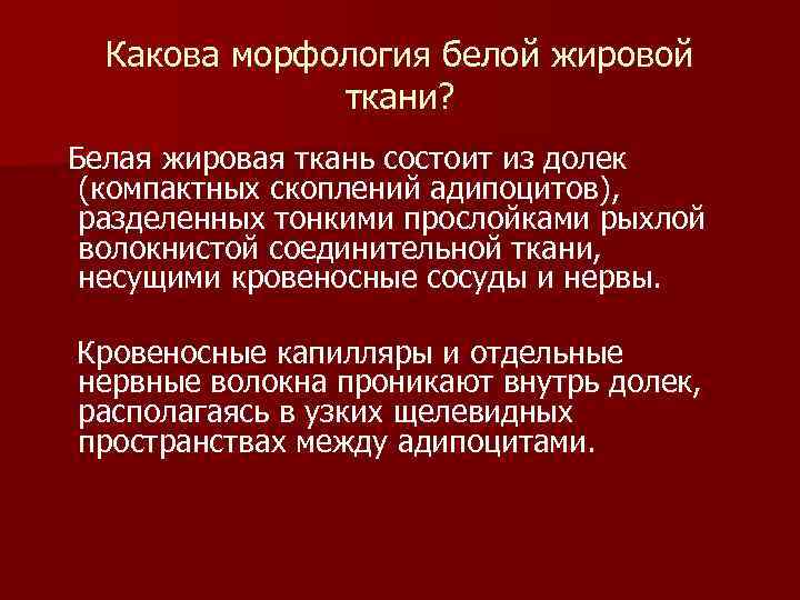 Какова морфология белой жировой ткани? Белая жировая ткань состоит из долек (компактных скоплений адипоцитов),