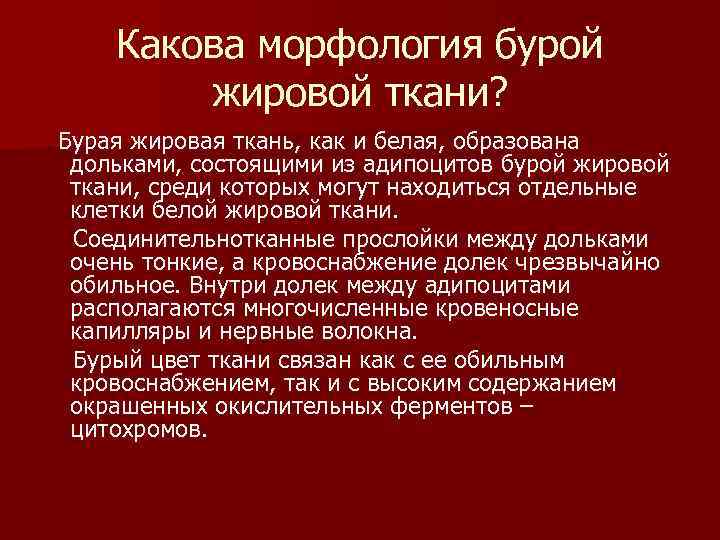Какова морфология бурой жировой ткани? Бурая жировая ткань, как и белая, образована дольками, состоящими