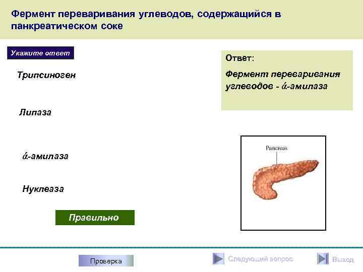 Фермент переваривания углеводов, содержащийся в панкреатическом соке Укажите ответ Ответ: Фермент переваривания углеводов -