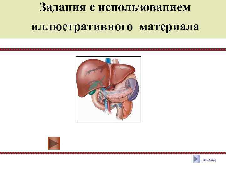 Задания с использованием иллюстративного материала Выход 