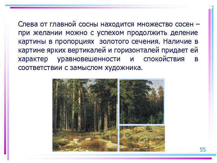Слева от главной сосны находится множество сосен – при желании можно с успехом продолжить